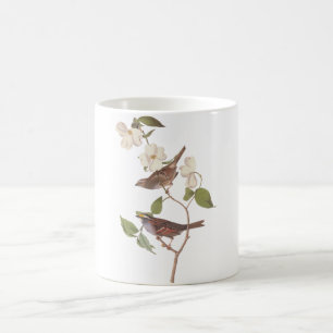 Audubon White Throated Sparrow Coffee Mug