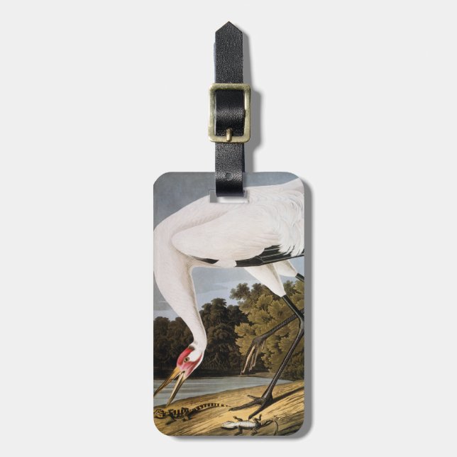 Audubon: Whooping Crane Luggage Tag (Front Vertical)