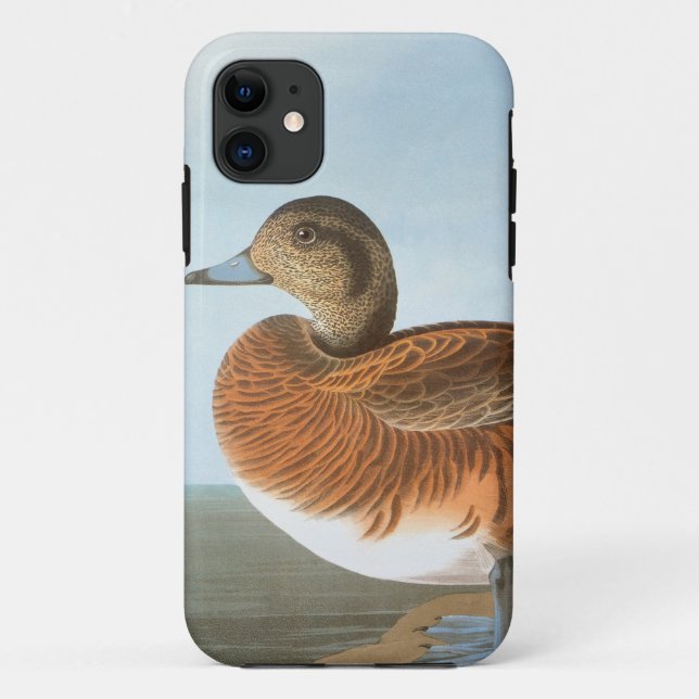 Audubon: Wigeon Case-Mate iPhone Case (Back)