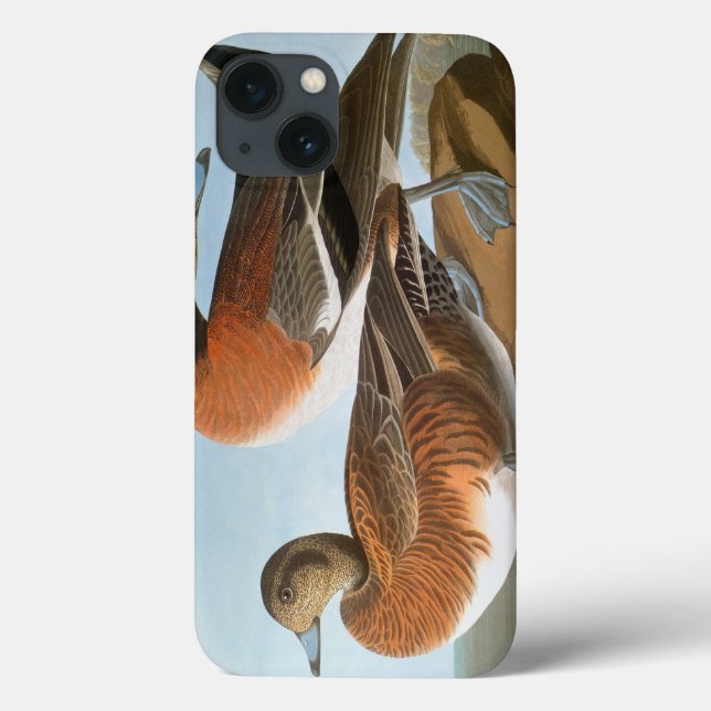 Audubon: Wigeon Case-Mate iPhone Case (Back)
