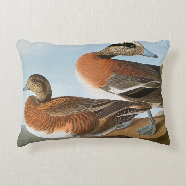 Audubon: Wigeon Decorative Pillow (Front)