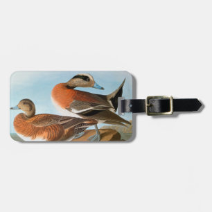 Audubon: Wigeon Luggage Tag