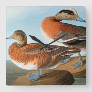 Audubon: Wigeon Square Wall Clock