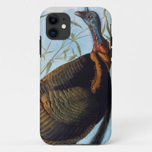Audubon: Wild Turkey iPhone 11 Case