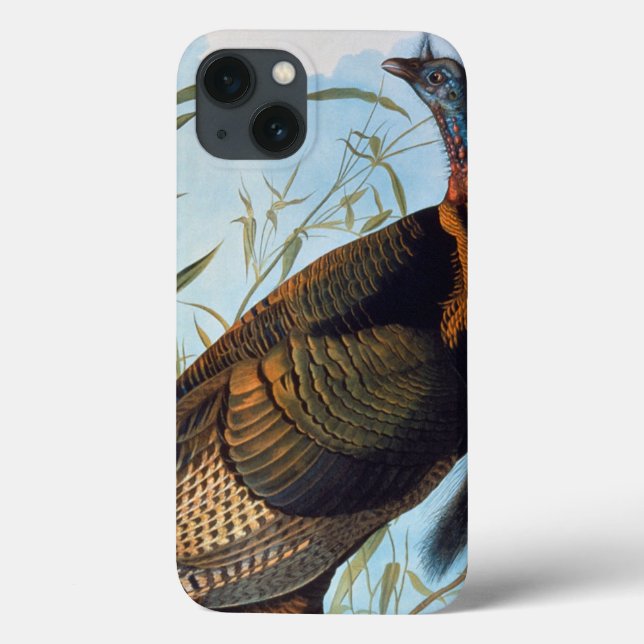 Audubon: Wild Turkey Case-Mate iPhone Case (Back)