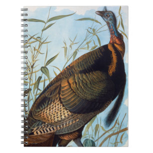 Audubon: Wild Turkey Notebook