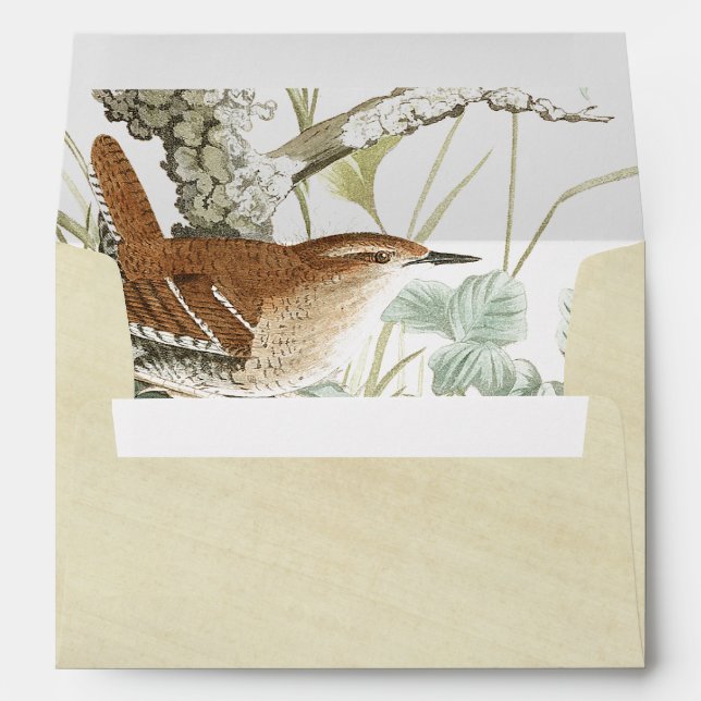 Audubon Wren Bird Wildlife Rice Paper Envelope (Back (Bottom))