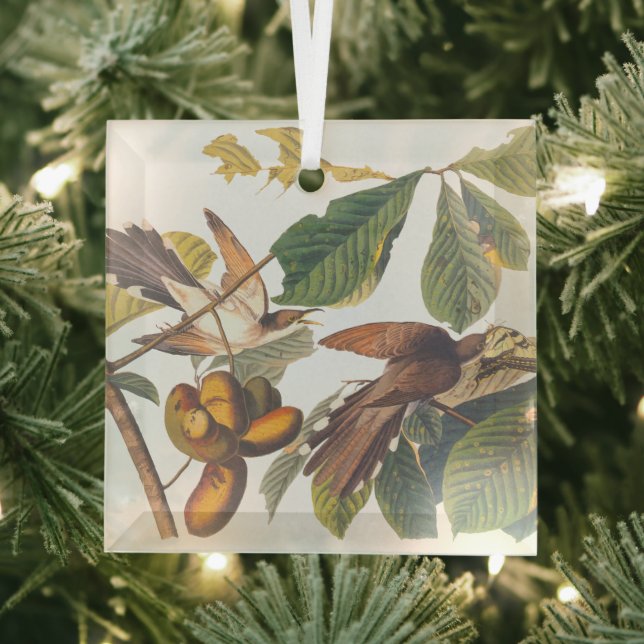 Audubon Yellow Billed Cuckoo Glass Ornament (Insitu)