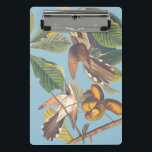 Audubon Yellow Billed Cuckoo Mini Clipboard<br><div class="desc">This charming reproduction of John James Audubon’s Yellow-Billed Cuckoo captures an "odd couple" of free-spirited birds, each quirky in their own way yet perfectly matched as they chase their dreams together. Depicting a pair of yellow-billed cuckoos "chasing butterflies" through a tropical fruit tree, this artwork celebrates the beauty of two...</div>