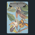 Audubon Yellow Billed Cuckoo Mini Clipboard<br><div class="desc">This charming reproduction of John James Audubon’s Yellow-Billed Cuckoo captures an "odd couple" of free-spirited birds, each quirky in their own way yet perfectly matched as they chase their dreams together. Depicting a pair of yellow-billed cuckoos "chasing butterflies" through a tropical fruit tree, this artwork celebrates the beauty of two...</div>