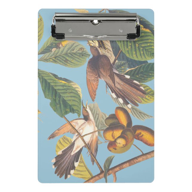 Audubon Yellow Billed Cuckoo Mini Clipboard (Front)