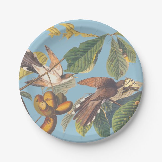 Audubon Yellow Billed Cuckoo Paper Plate (Front)