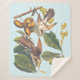 Audubon Yellow Billed Cuckoo Sherpa Blanket