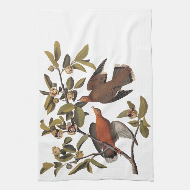 Audubon Zenaida Dove with Flowers Kitchen Towel (Vertical)