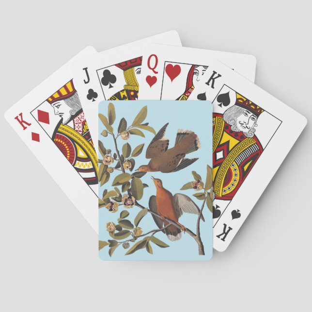 Audubon Zenaida Dove with Flowers Playing Cards (Back)