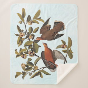 Audubon Zenaida Dove with Flowers Sherpa Blanket