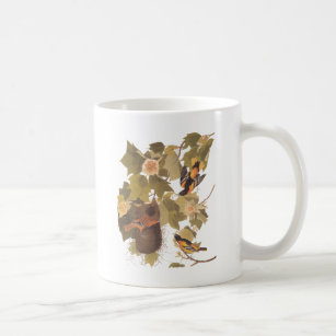 Audubon's Baltimore Oriole Trio Coffee Mug