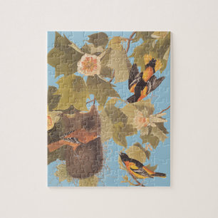 Audubon's Baltimore Oriole Trio Jigsaw Puzzle