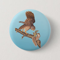 Audubon's Barred Owl and Happy Squirrel Friends