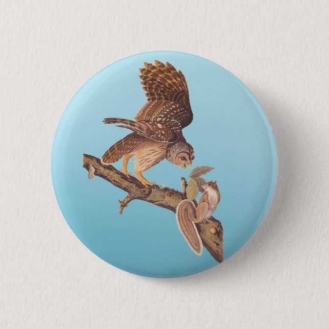 Audubon's Barred Owl and Happy Squirrel Friends 2 Inch Round Button (Front)