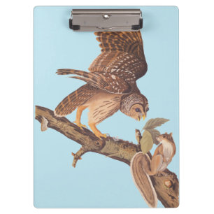 Audubon's Barred Owl and Squirrel Odd Friends Clipboard
