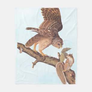 Audubon's Barred Owl and Squirrel Odd Friends Fleece Blanket