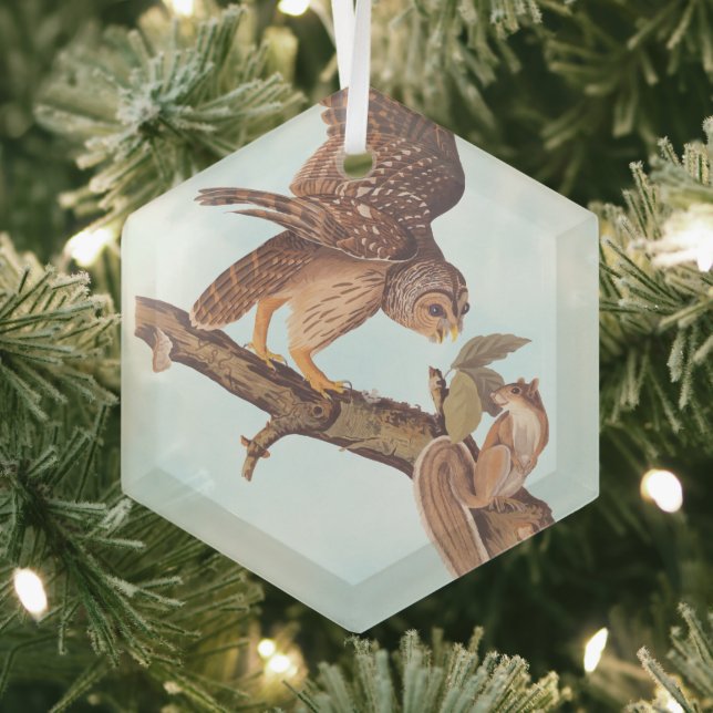 Audubon's Barred Owl and Squirrel Odd Friends Glass Ornament (Insitu)