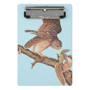 Audubon's Barred Owl and Squirrel Odd Friends Mini Clipboard