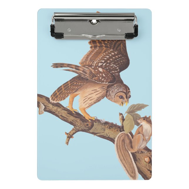 Audubon's Barred Owl and Squirrel Odd Friends Mini Clipboard (Front)