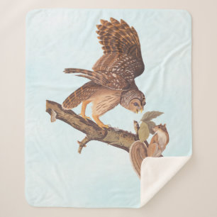 Audubon's Barred Owl and Squirrel Odd Friends Sherpa Blanket