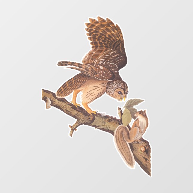 Audubon's Barred Owl and Squirrel Odd Friends Window Cling (Sheet)