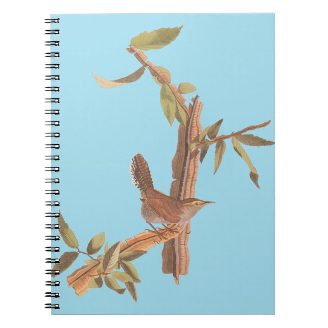 Audubon's Bewick's Long Tailed Wren Song Bird Notebook (Front)