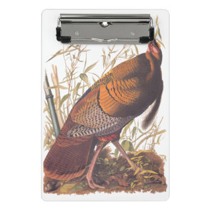 Audubon's Birds of America Wild Turkey Autumn Bird Mini Clipboard