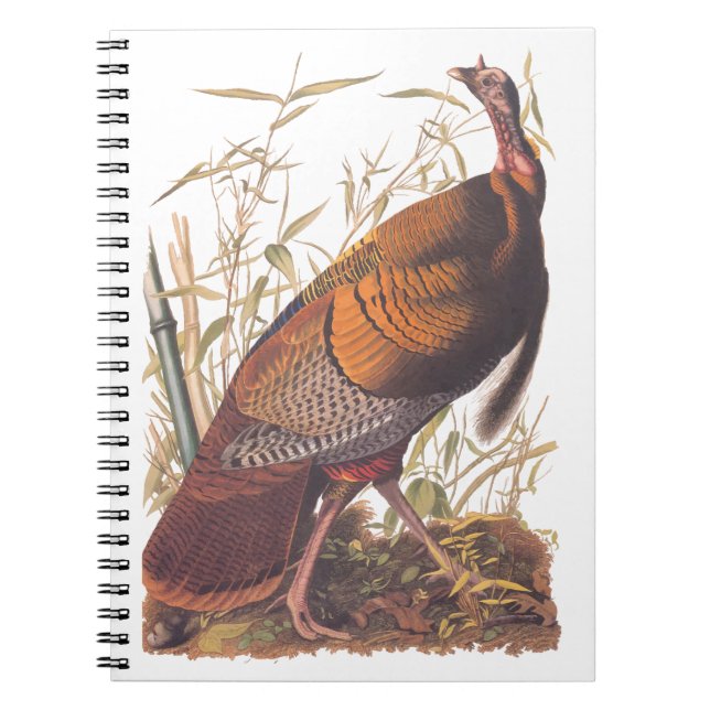 Audubon's Birds of America Wild Turkey Autumn Bird Notebook (Front)