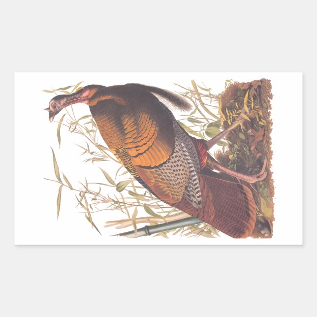 Audubon's Birds of America Wild Turkey Autumn Bird Sticker (Front)