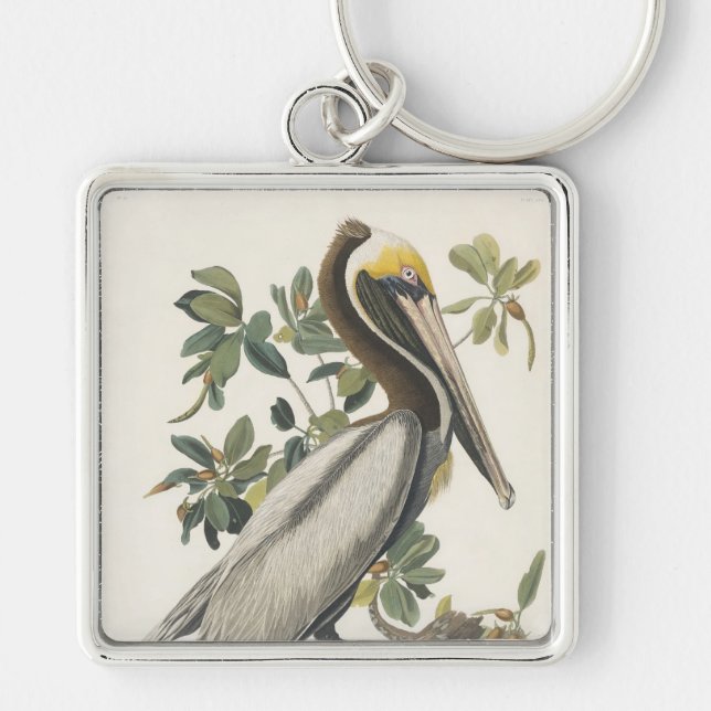 Audubon's Brown Pelican Keychain (Front)