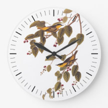 Audubon's Carbonated Warbler Bird on Service Tree