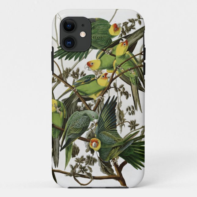 Audubon's Carolina Parakeet Case-Mate iPhone Case (Back)