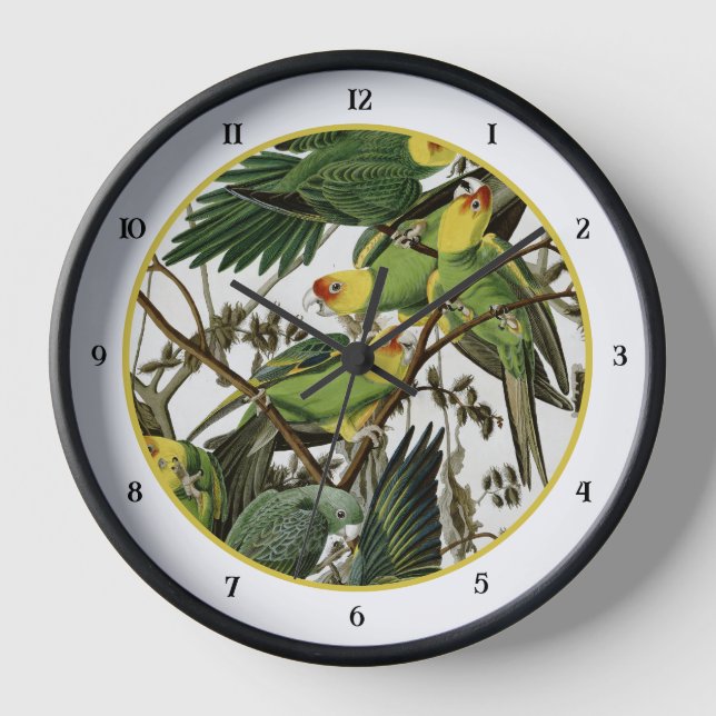 Audubon's Carolina Parakeet Clock (Front)