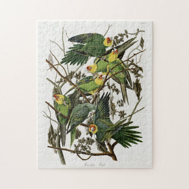 Audubon's Carolina Parakeet Jigsaw Puzzle (Vertical)