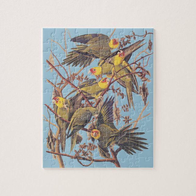 Audubon's Carolina Parakeet Jigsaw Puzzle (Vertical)