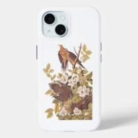 Audubon's Carolina Turtle Dove