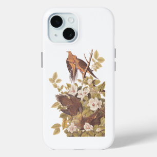 Audubon's Carolina Turtle Dove iPhone 15 Case