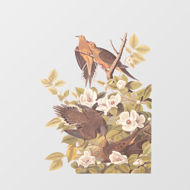 Audubon's Carolina Turtle Dove Window Cling (Sheet)