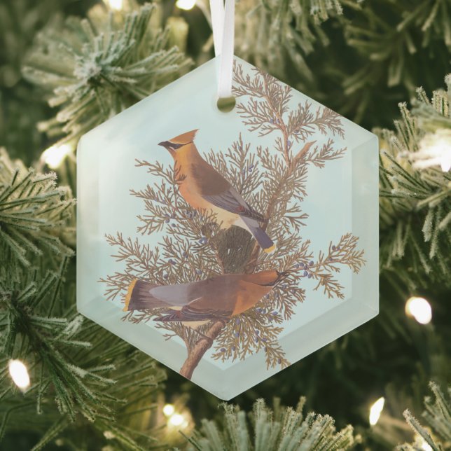 Audubon's Cedar Waxwing Bird Pair on Evergreen Glass Ornament (Insitu)