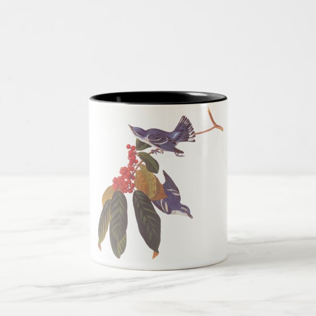 Audubon's Cerulean Warbler Bird with Red Berries Two-Tone Coffee Mug (Center)