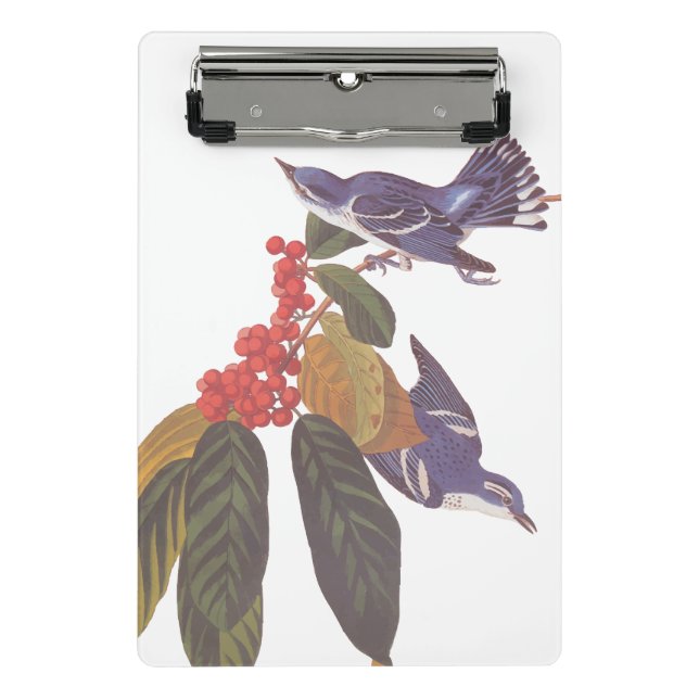 Audubon's Cerulean Warbler Birds with Bear Berries Mini Clipboard (Front)