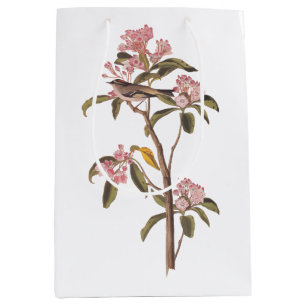 Audubon's Cuvier's Kinglet Bird on Pink Calico Medium Gift Bag