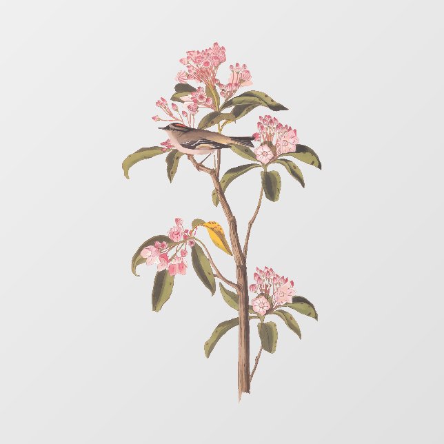 Audubon's Cuvier's Kinglet Bird on Pink Calico Window Cling (Sheet)