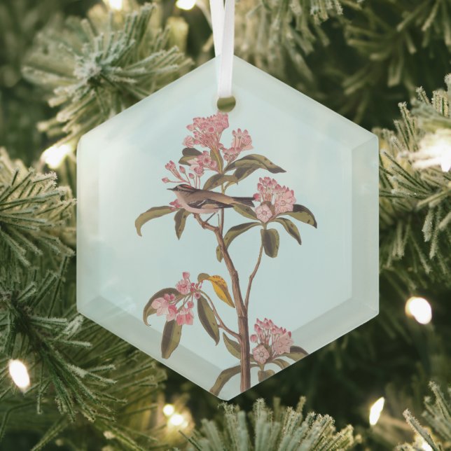Audubon's Cuvier's Kinglet Mystery Bird Glass Ornament (Insitu)
